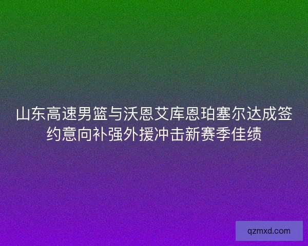 山东高速男篮与沃恩艾库恩珀塞尔达成签约意向补强外援冲击新赛季佳绩
